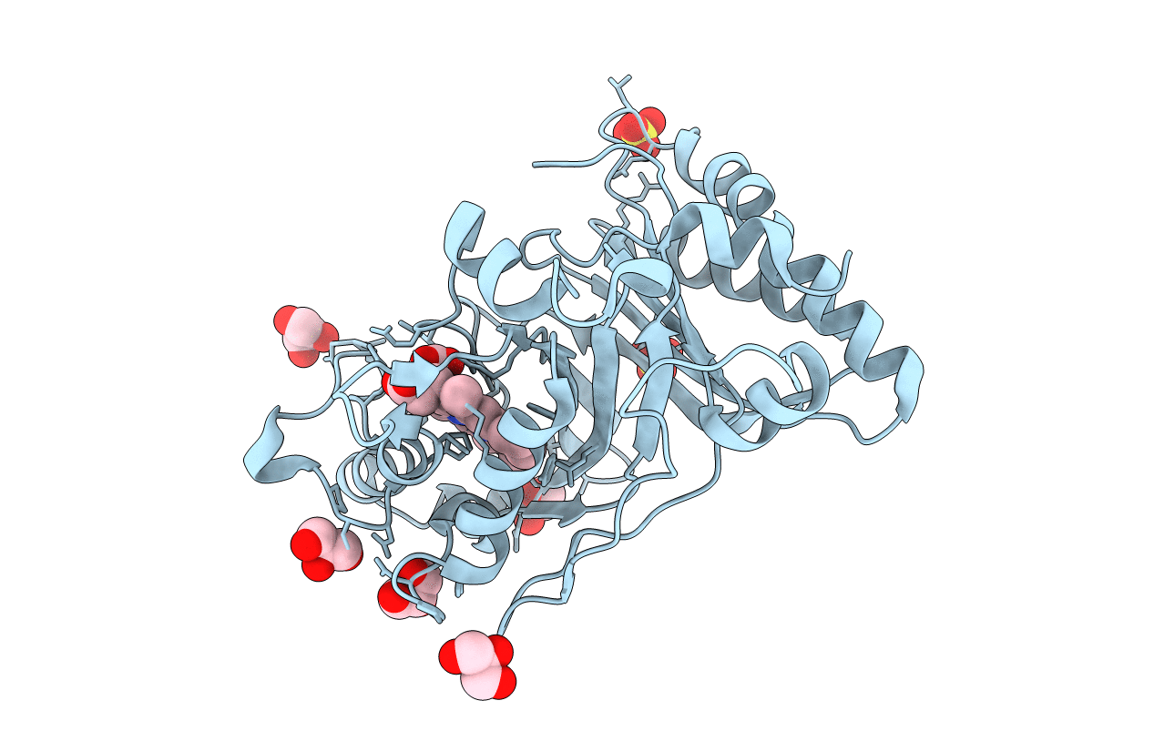 3QNS image