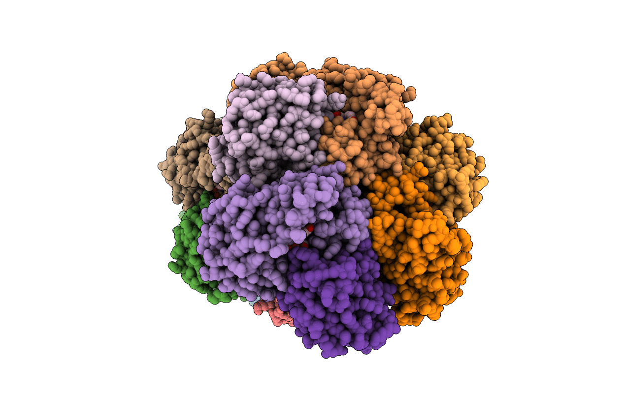 3QPB image
