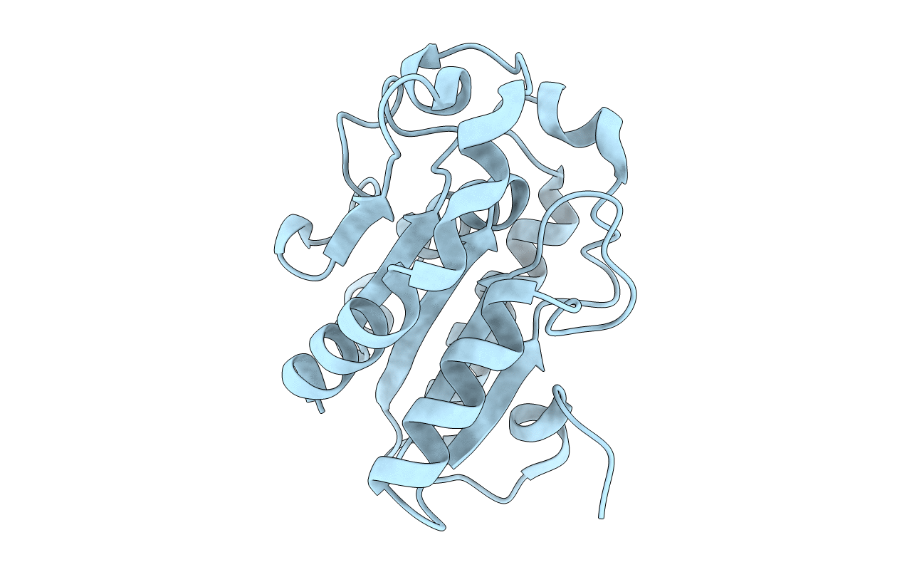3QPD image