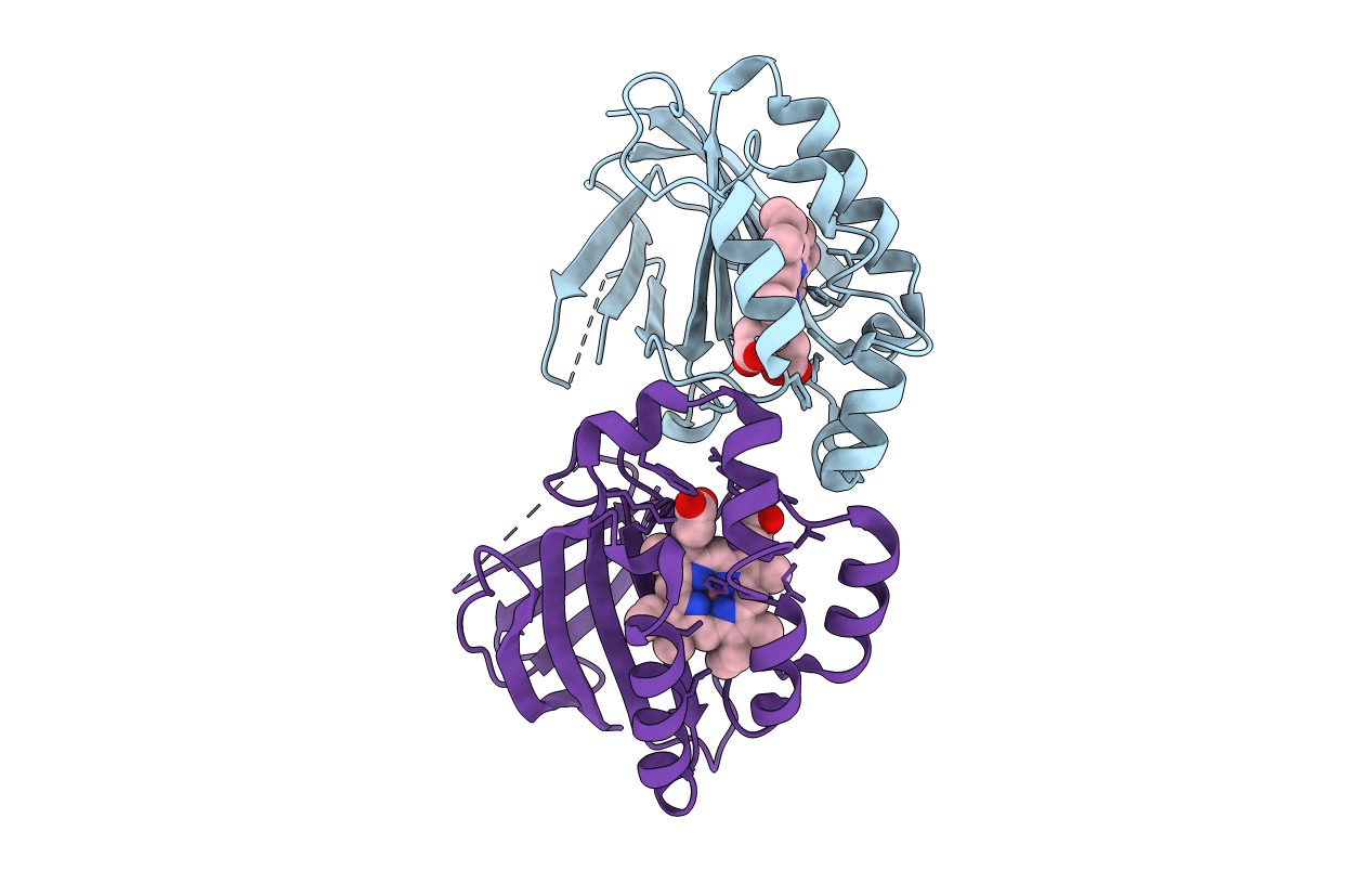 3QPI image