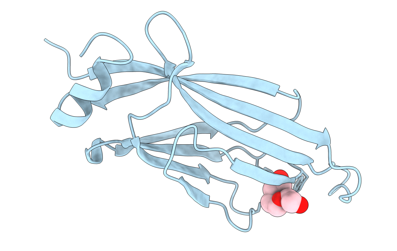 3QRL image