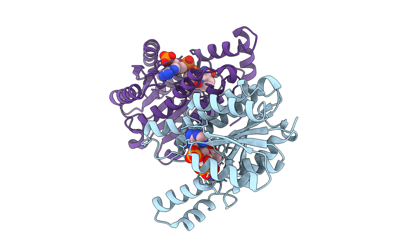 3QRW image