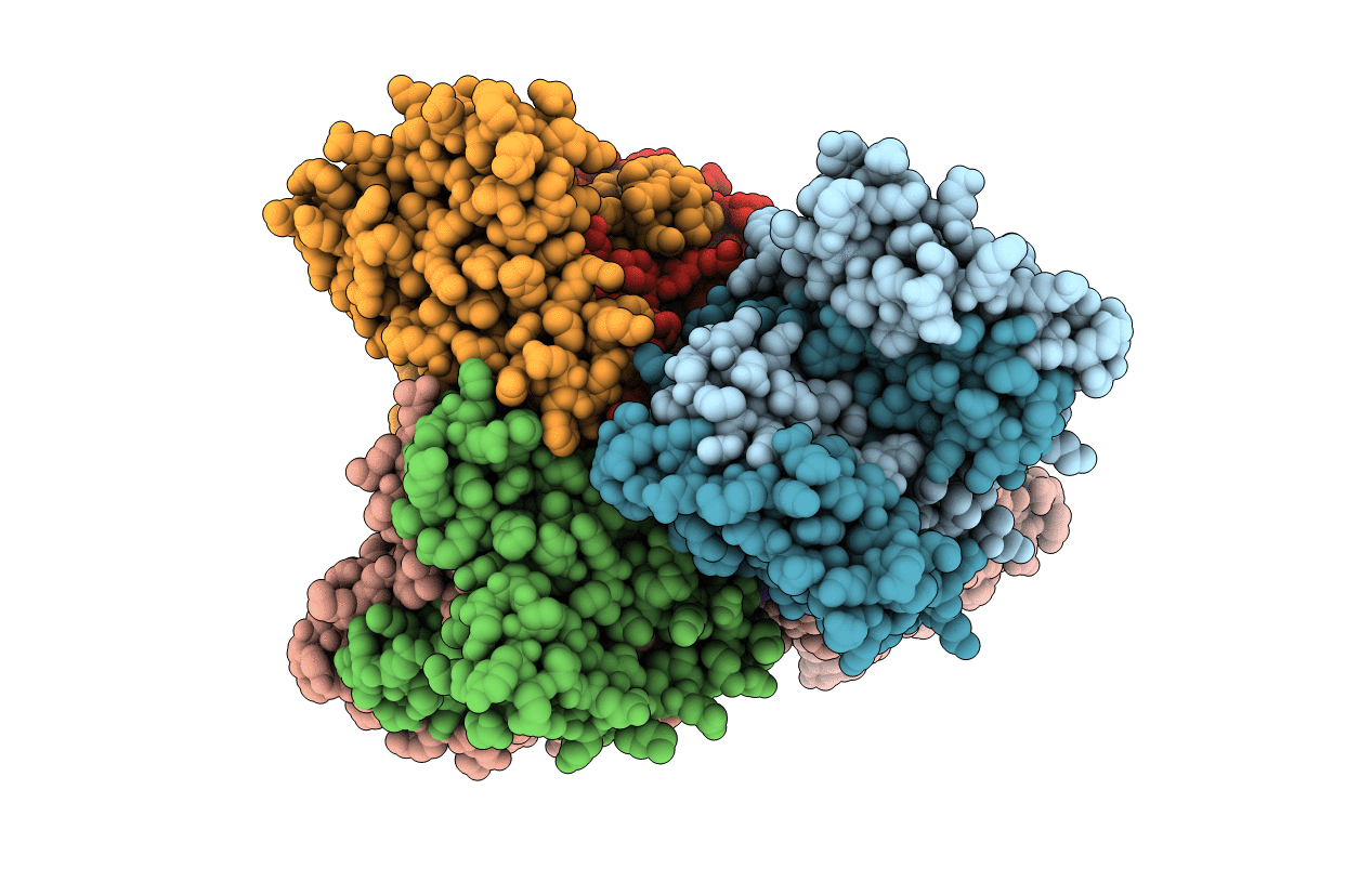 3QVD image