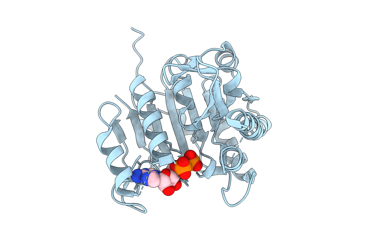 3QVH image