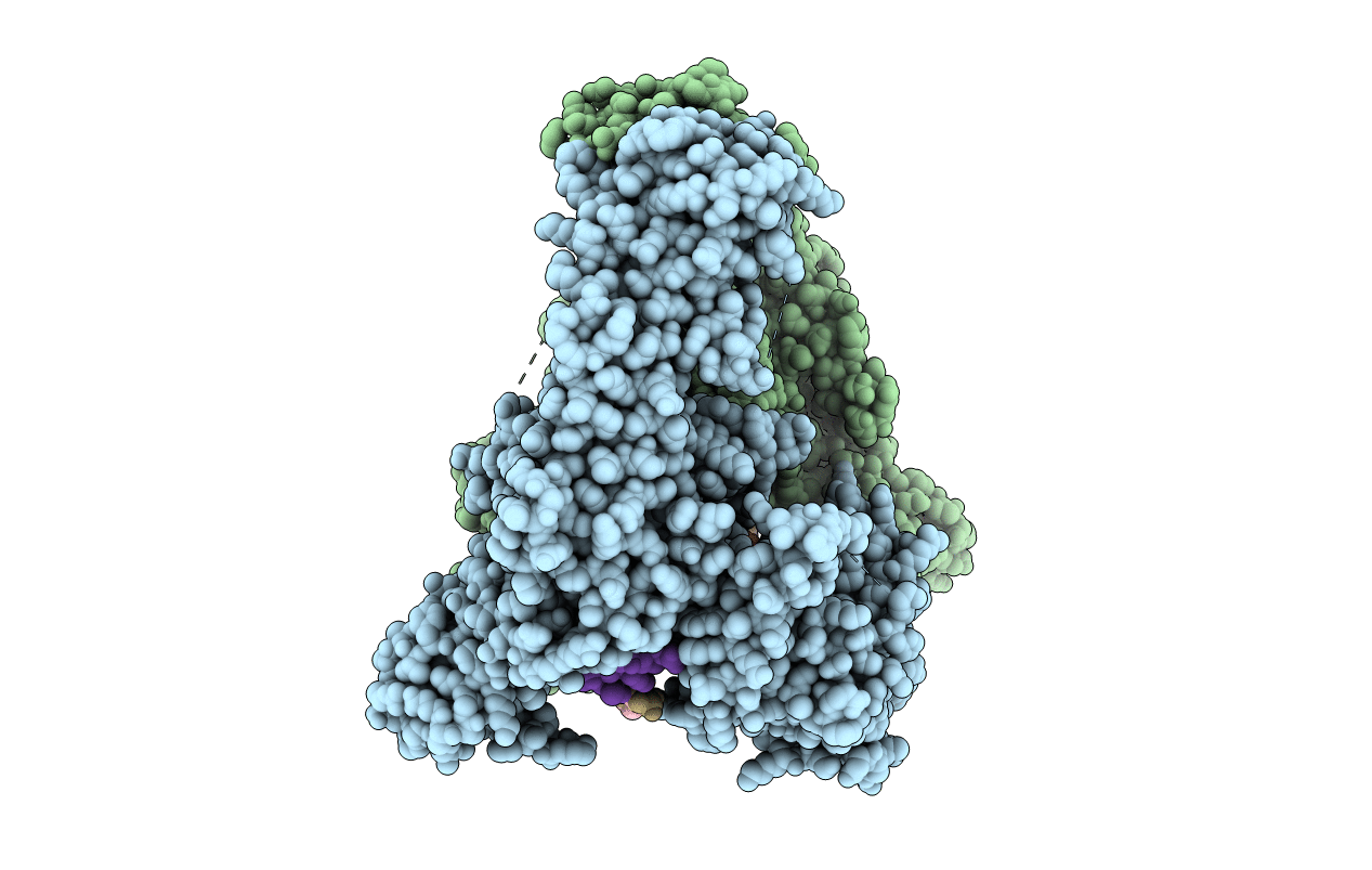 3QX3 image
