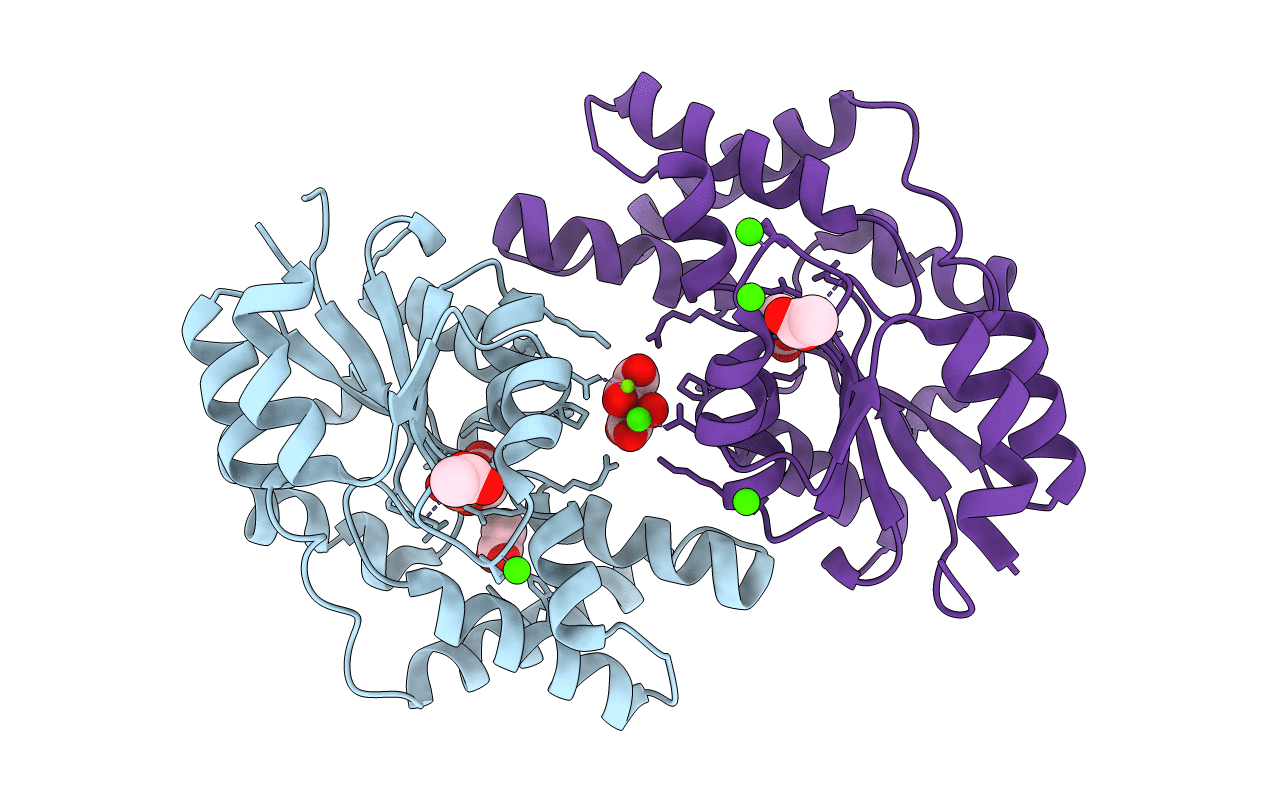 3QXG image