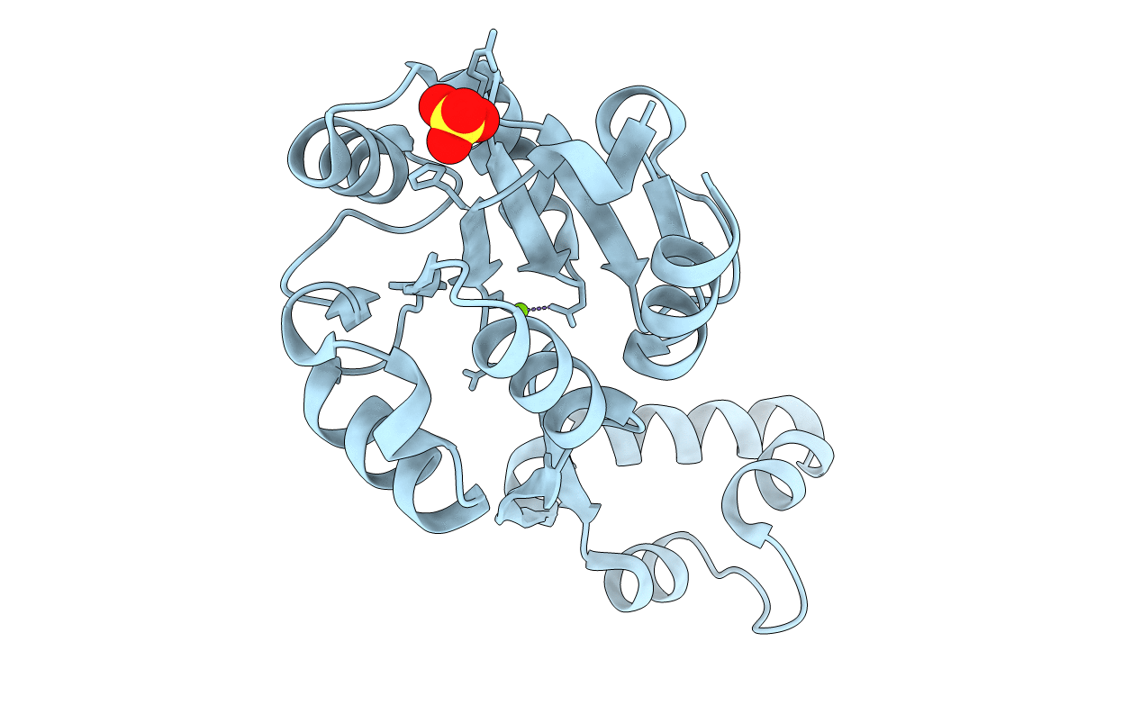 3R09 image