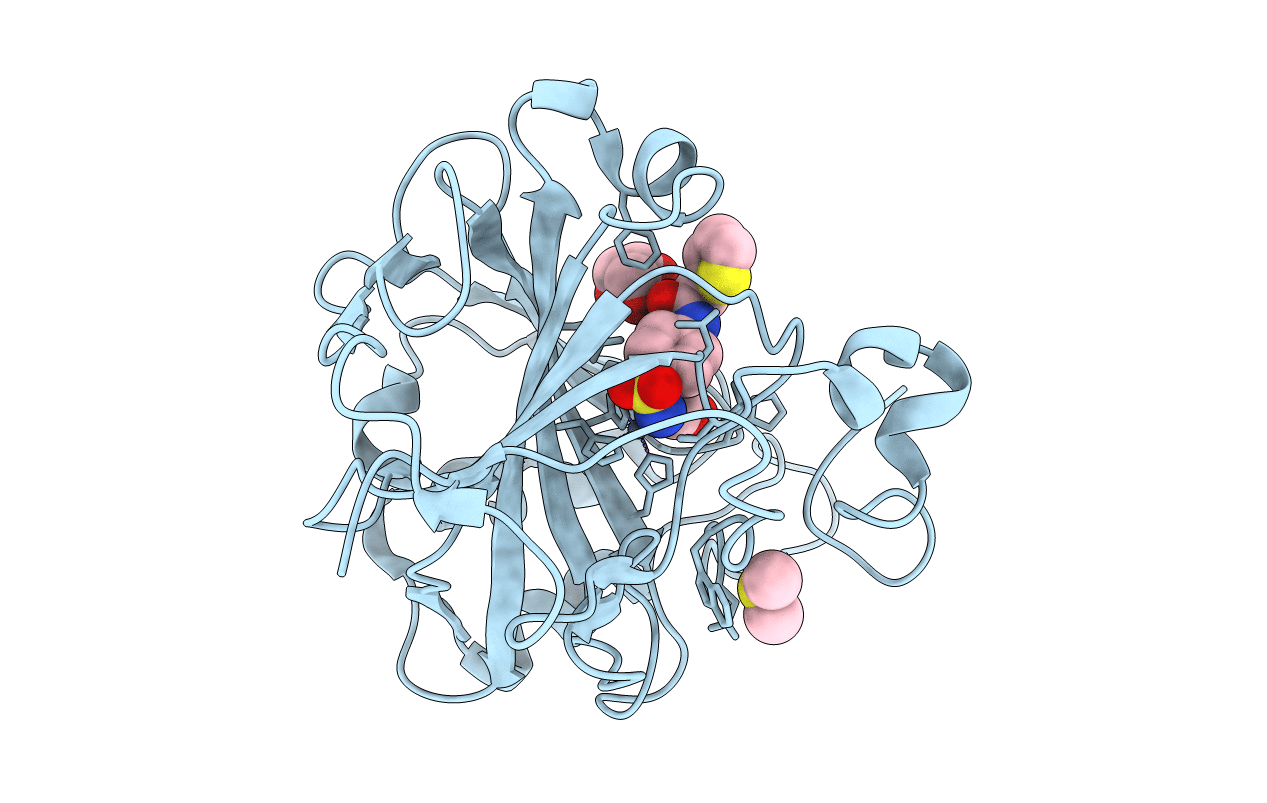 3R16 image