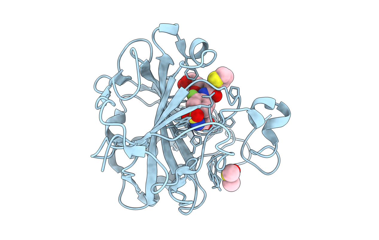 3R17 image