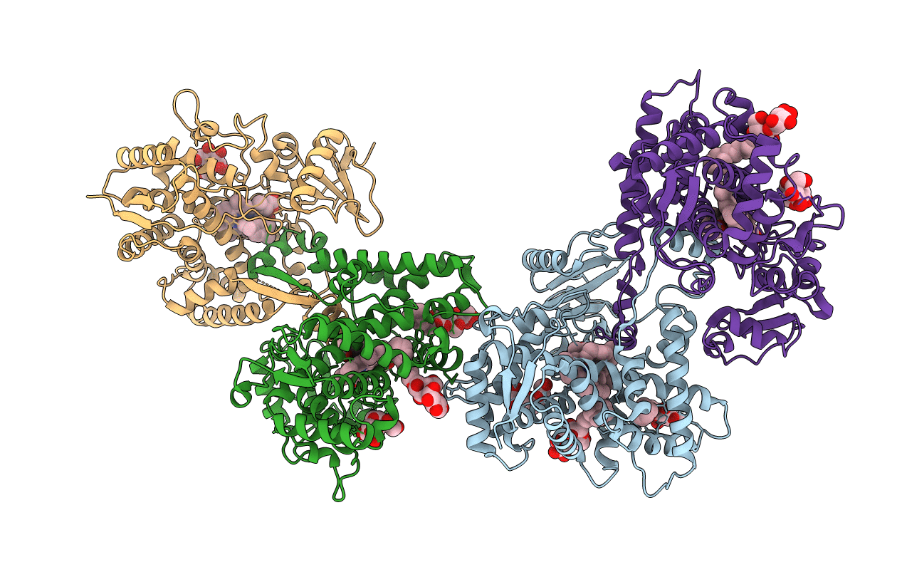 3R1B image