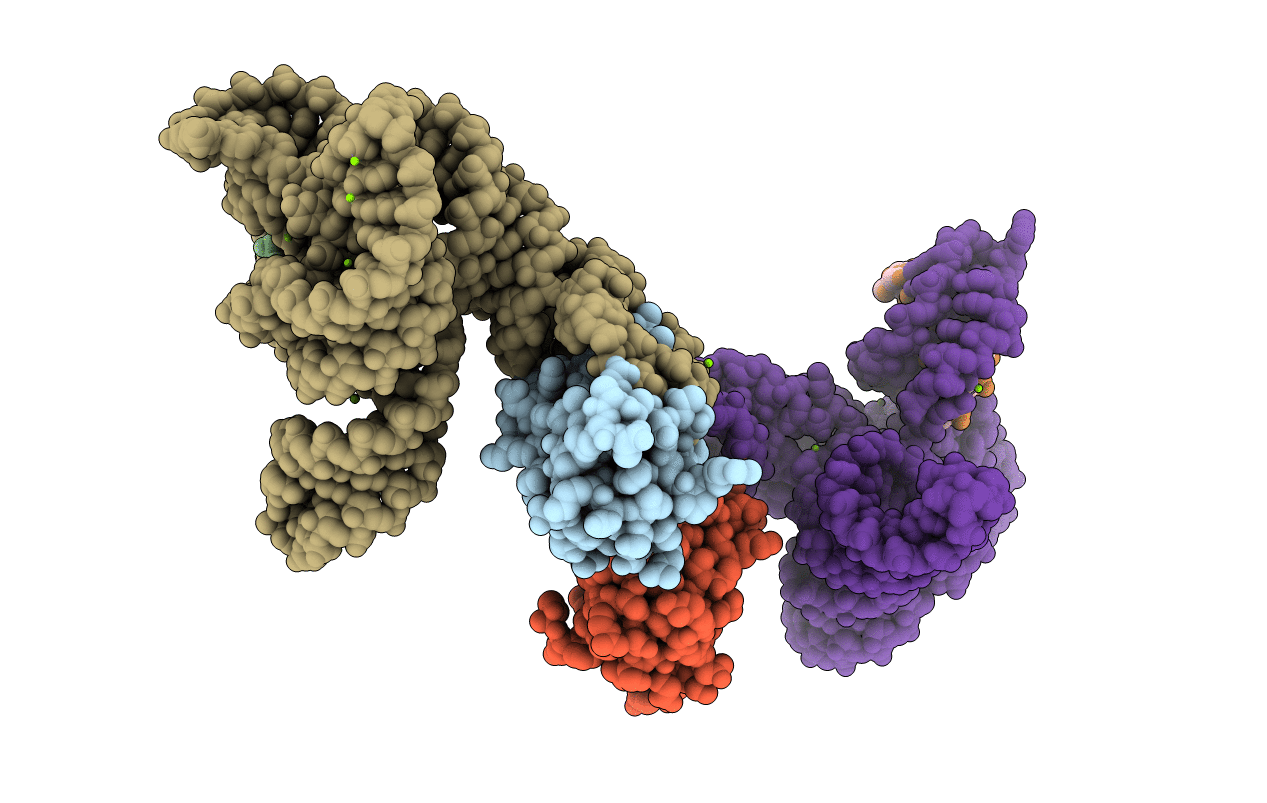3R1L image