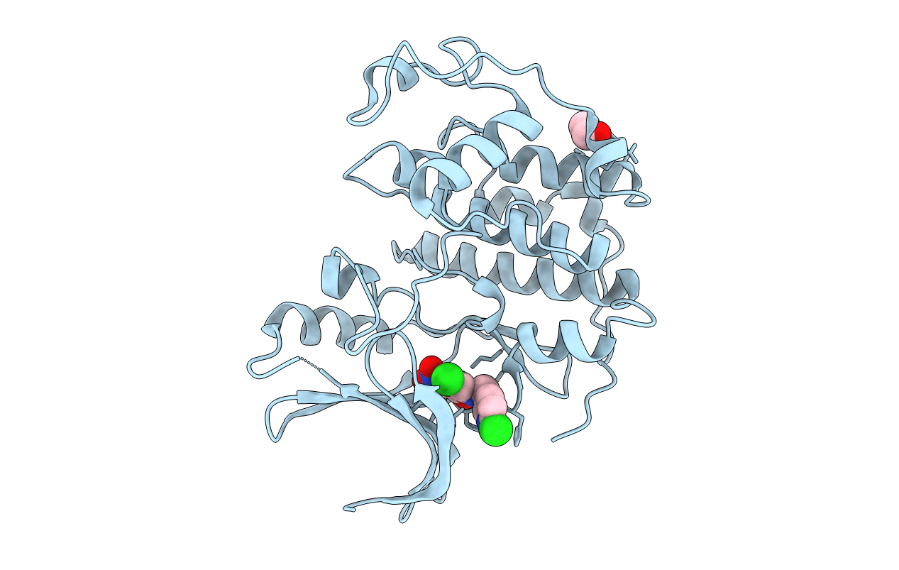 3R1Q image
