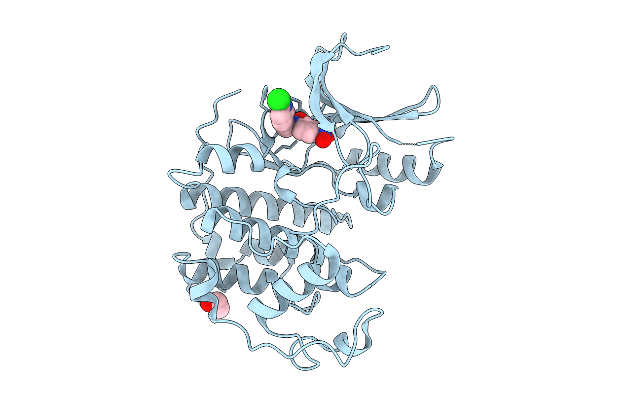 3R1S image