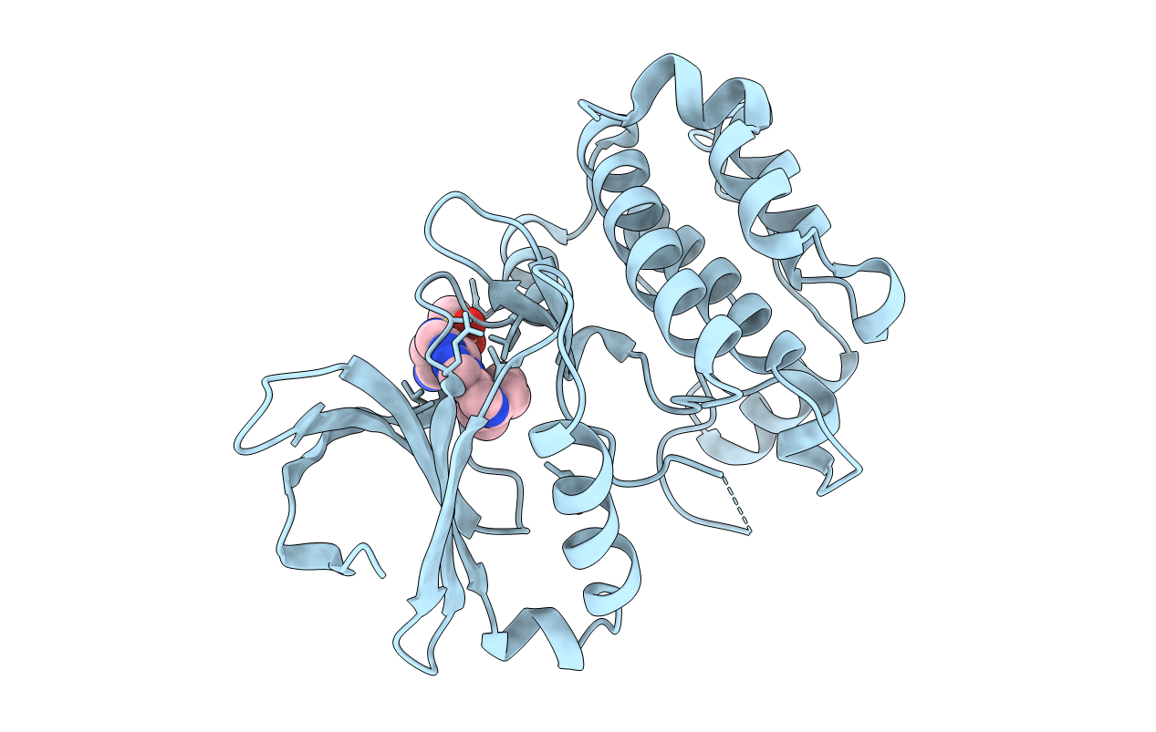 3R21 image