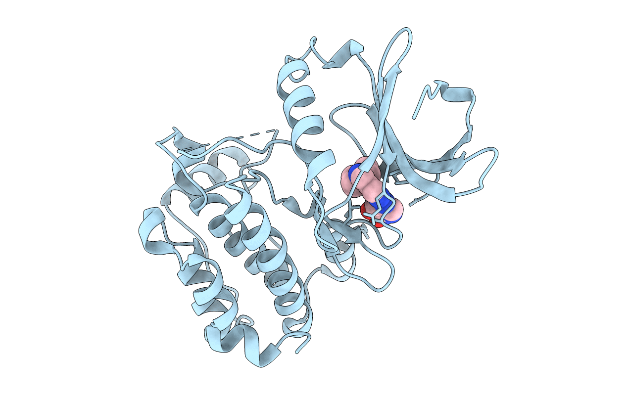 3R22 image