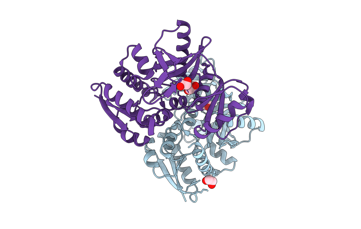 3R23 image