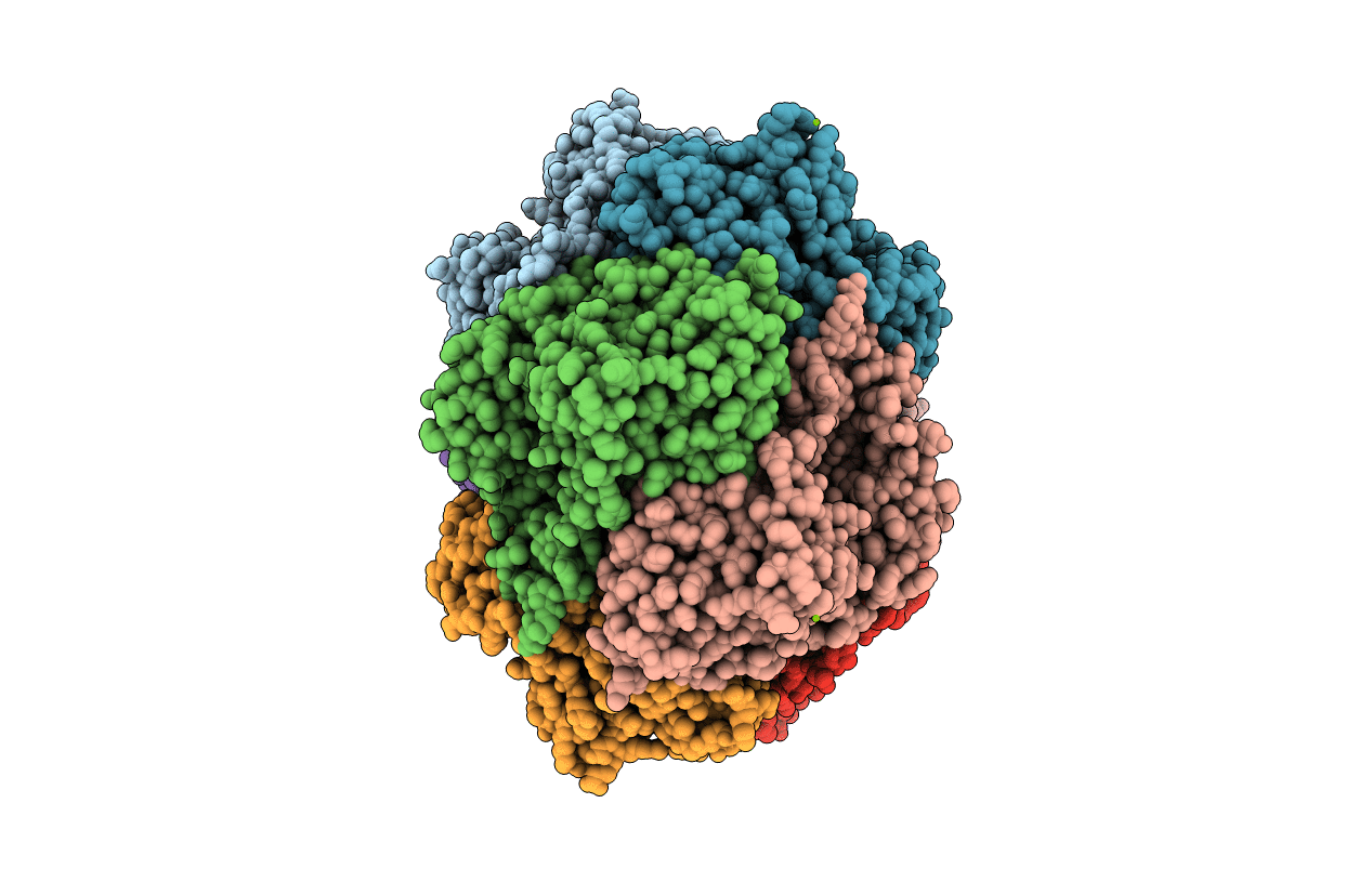 3R25 image