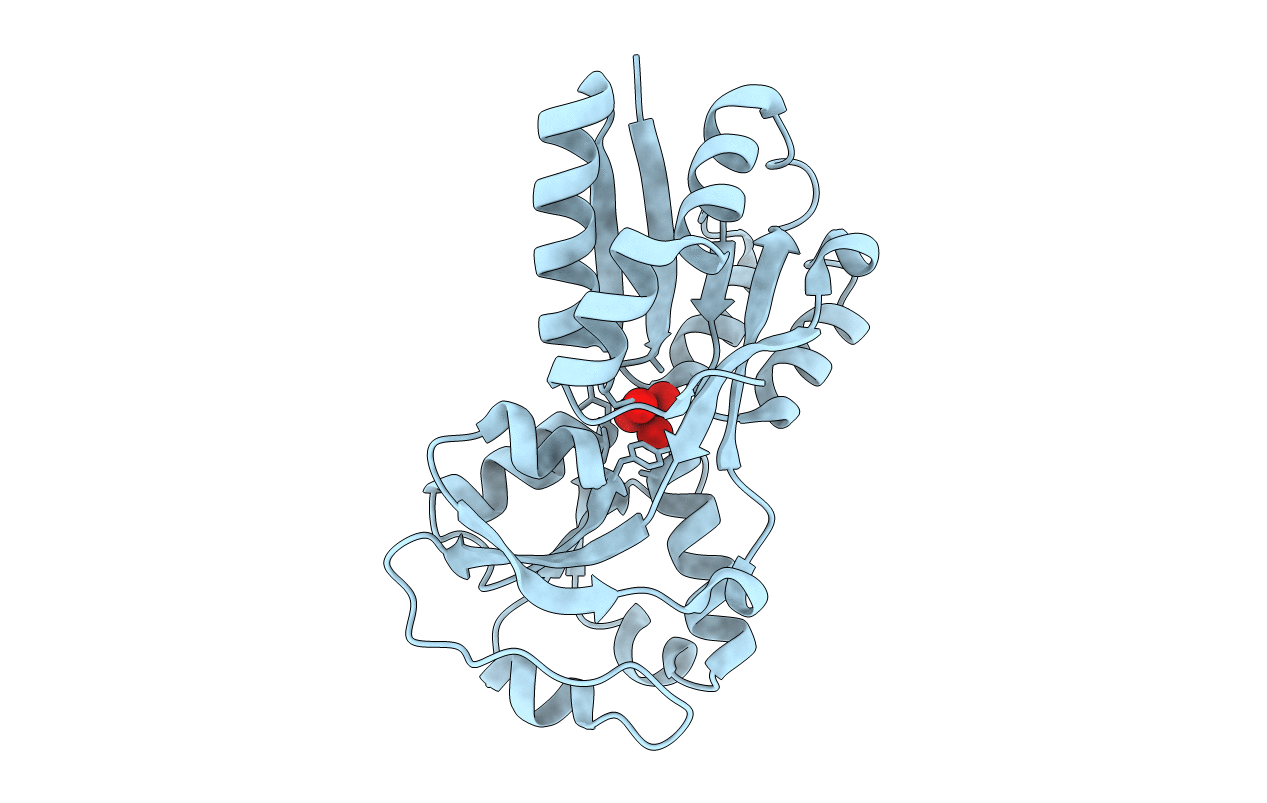 3R26 image