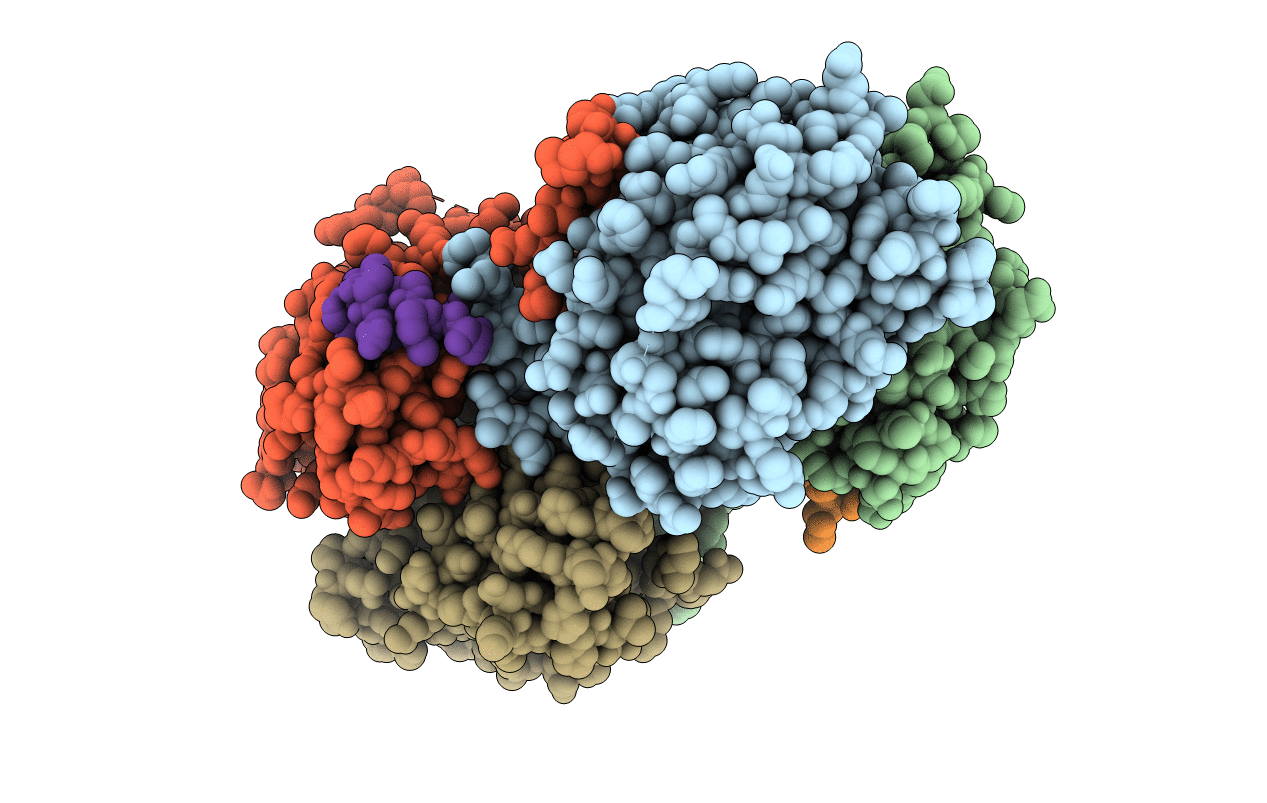 3R2A image