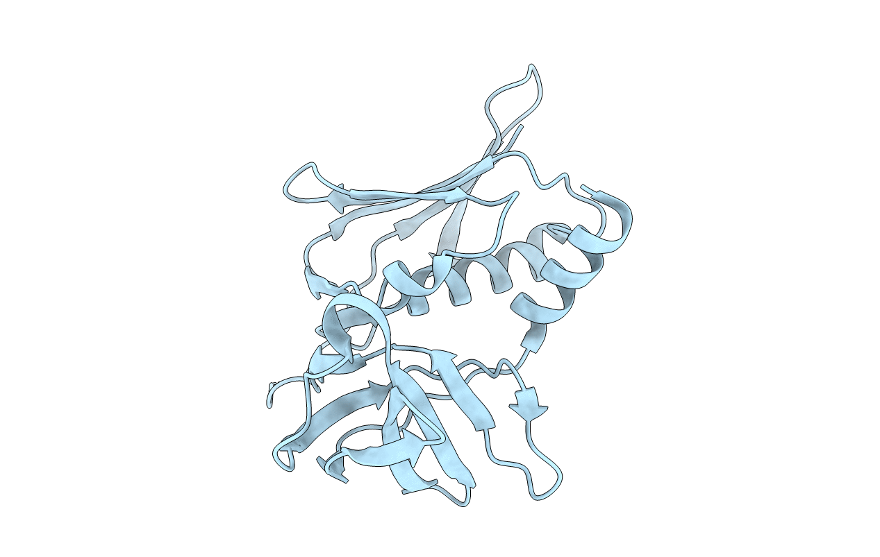 3R2I image