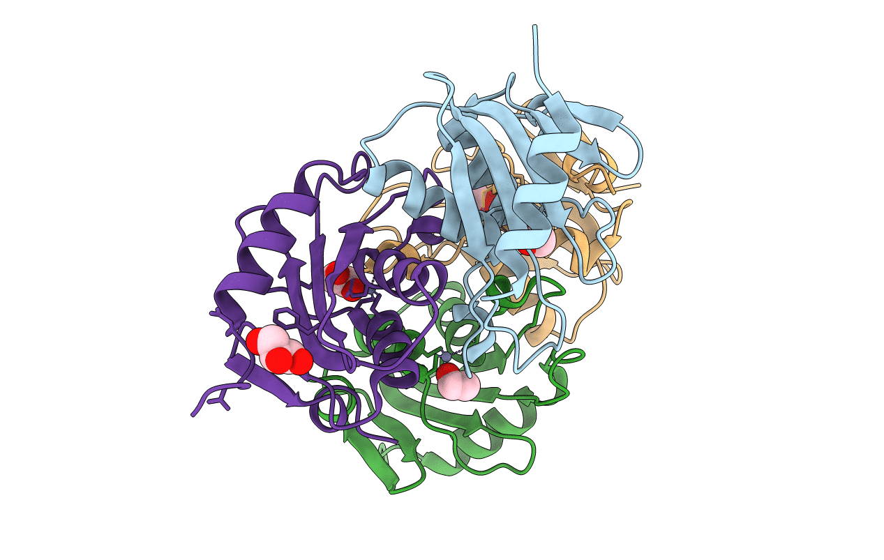 3R2N image