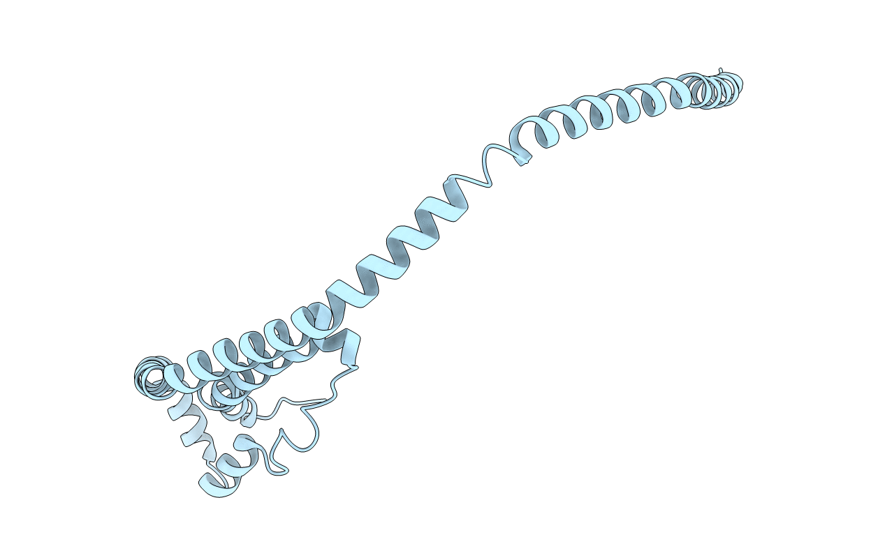 3R2P image