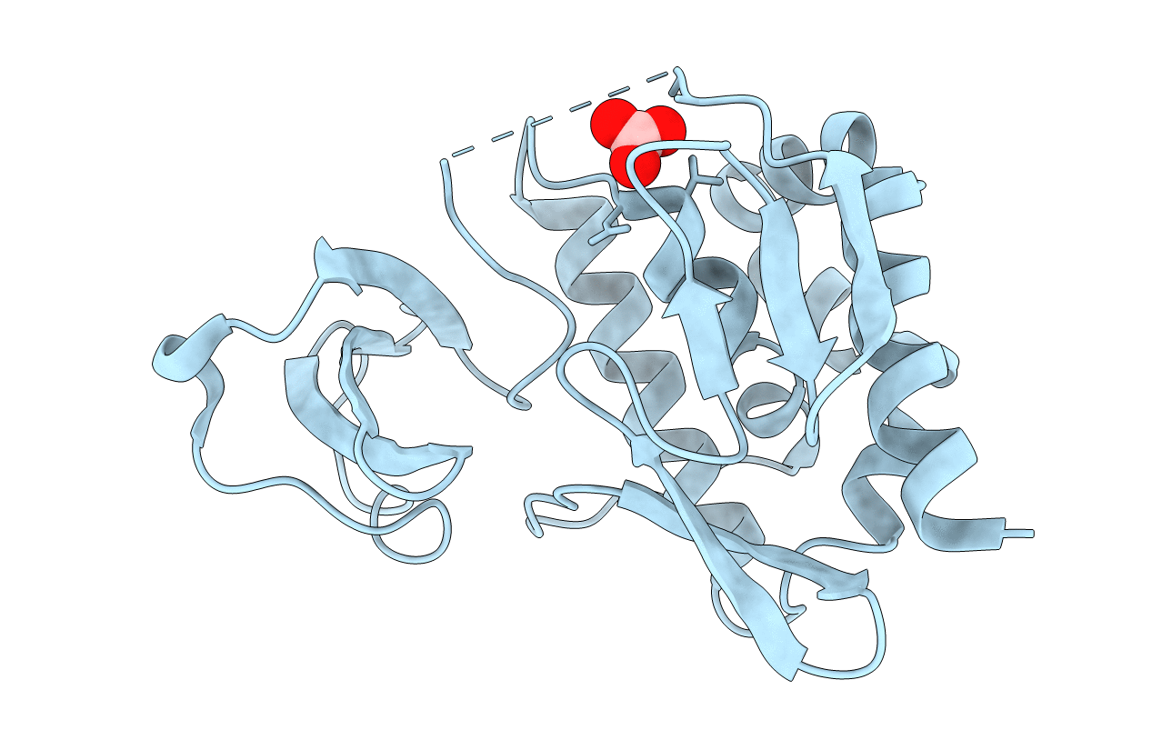 3R2V image