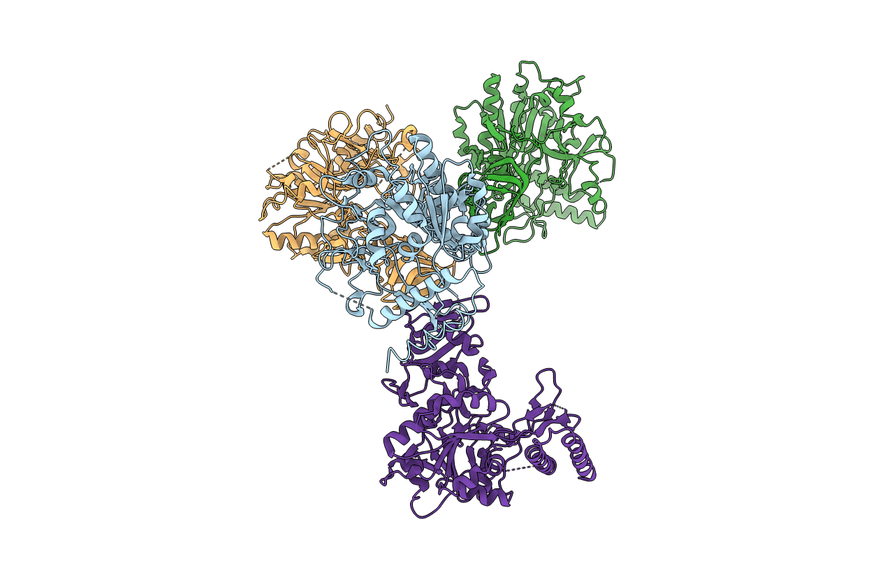 3R3I image