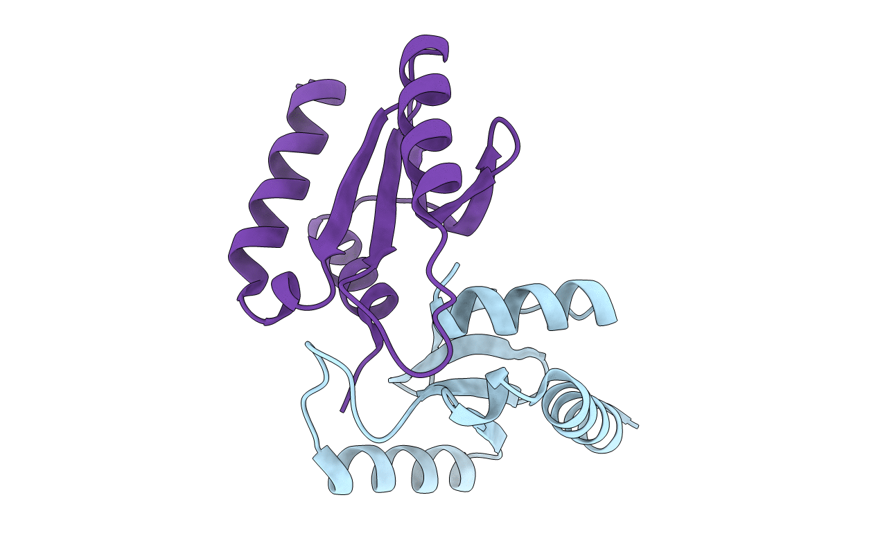 3R3P image
