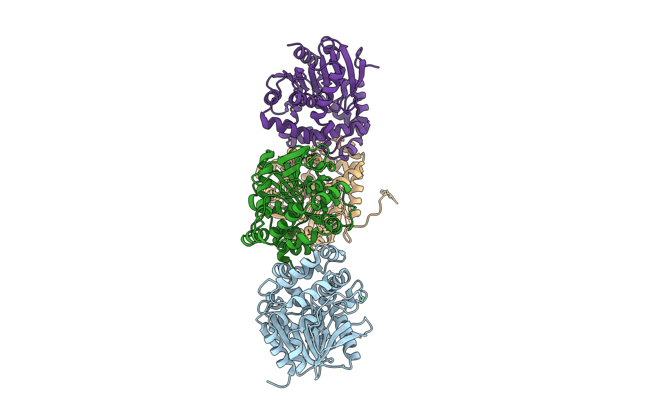 3R3U image