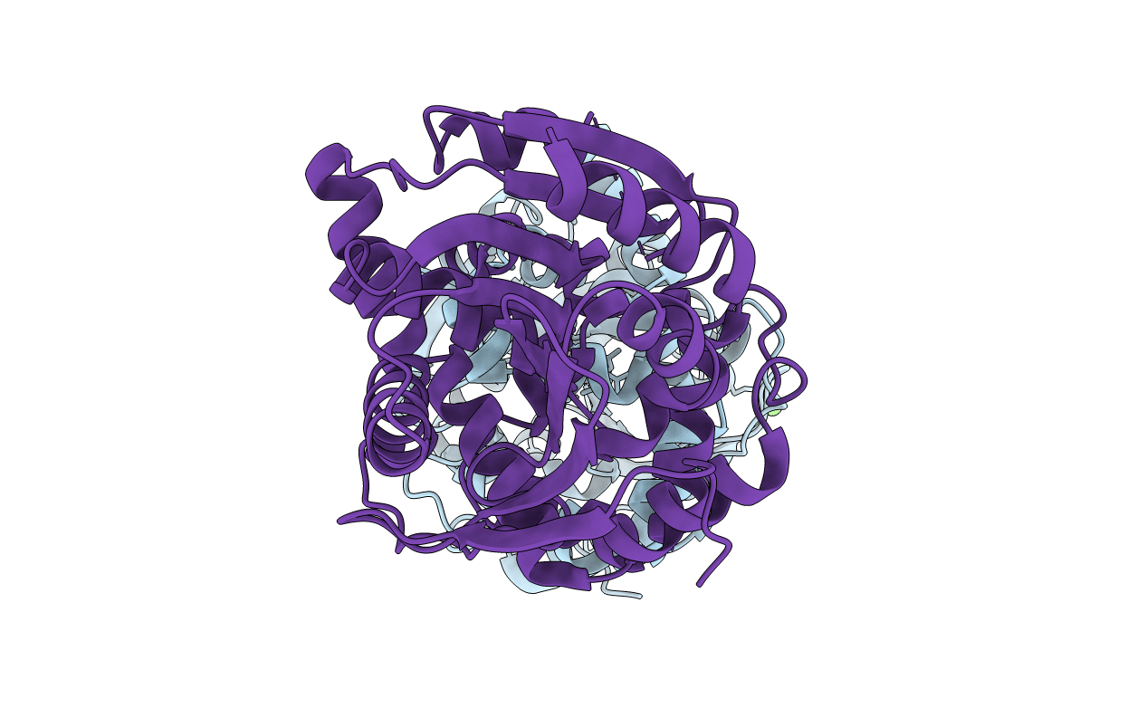 3R3V image