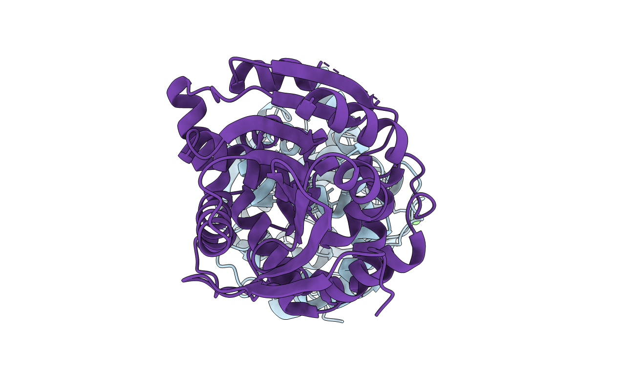 3R3W image