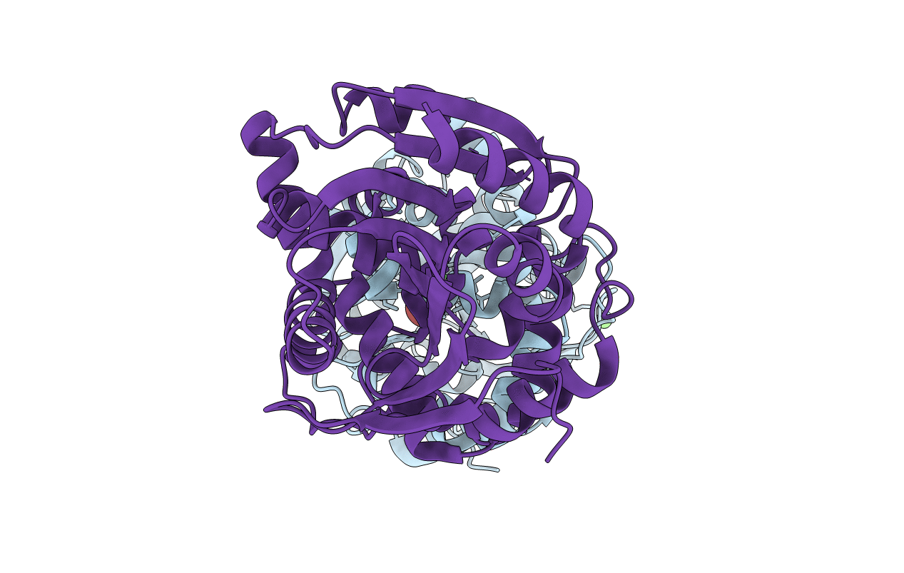 3R3X image