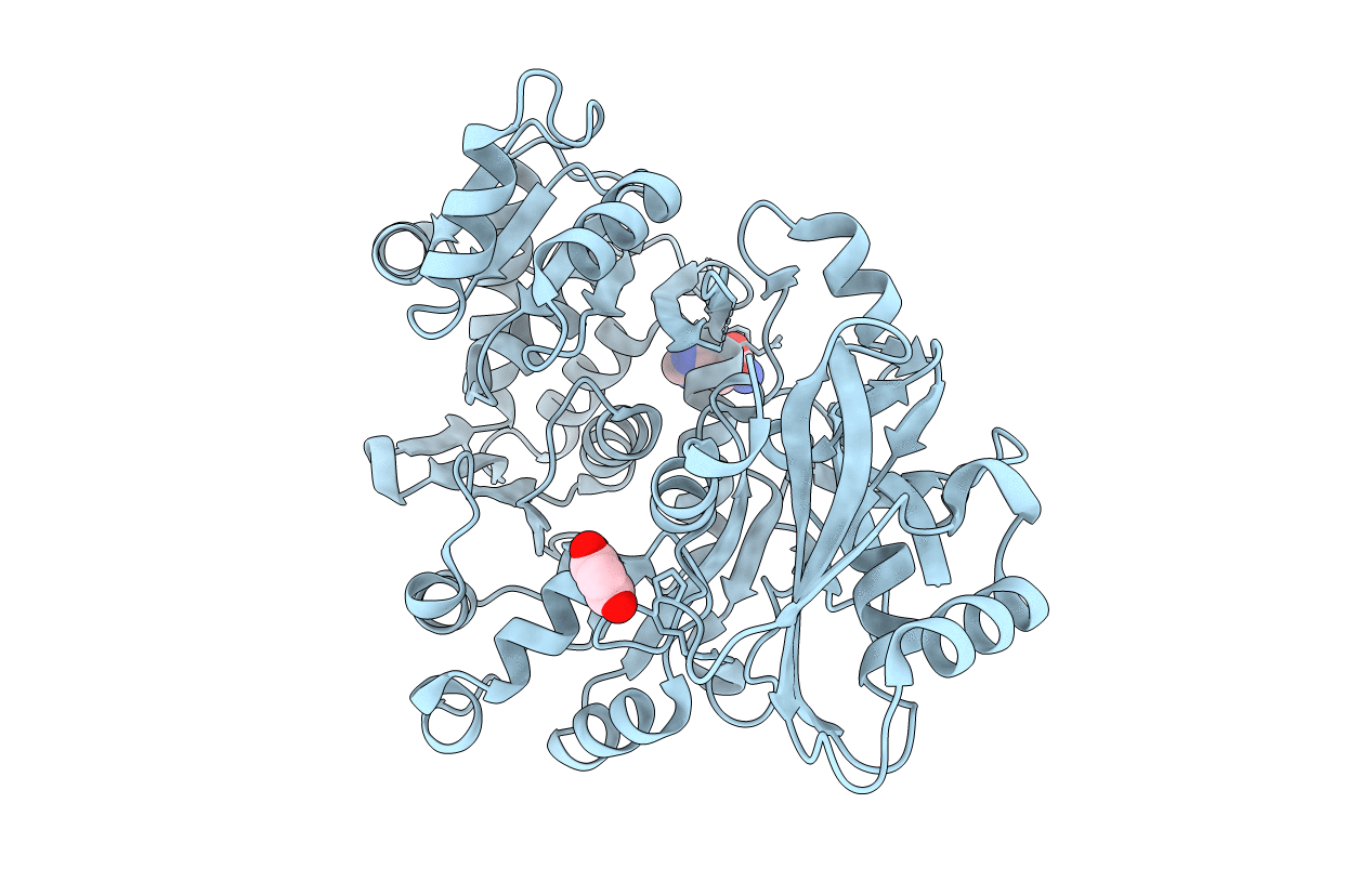 3R44 image