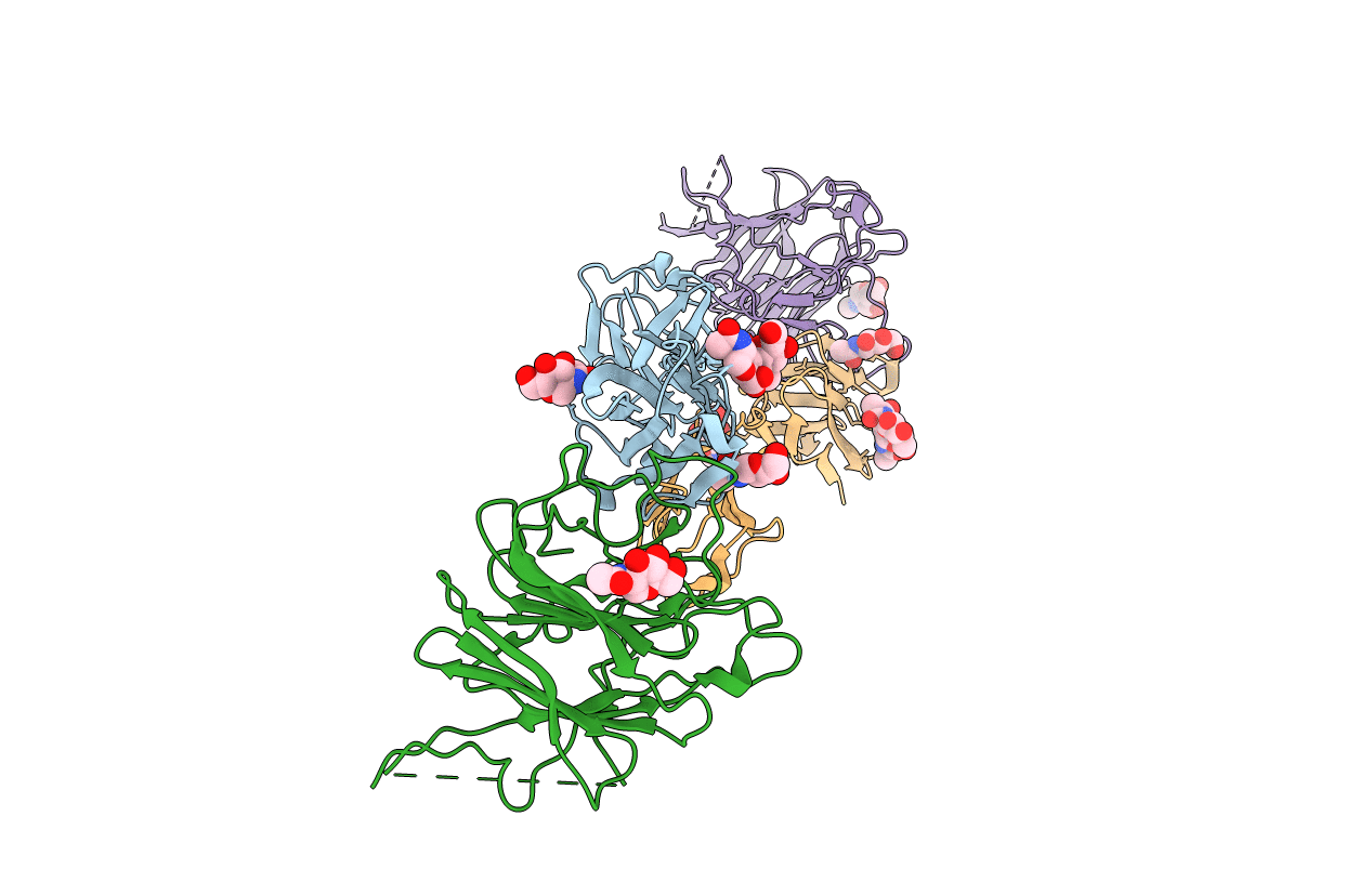 3R4D image