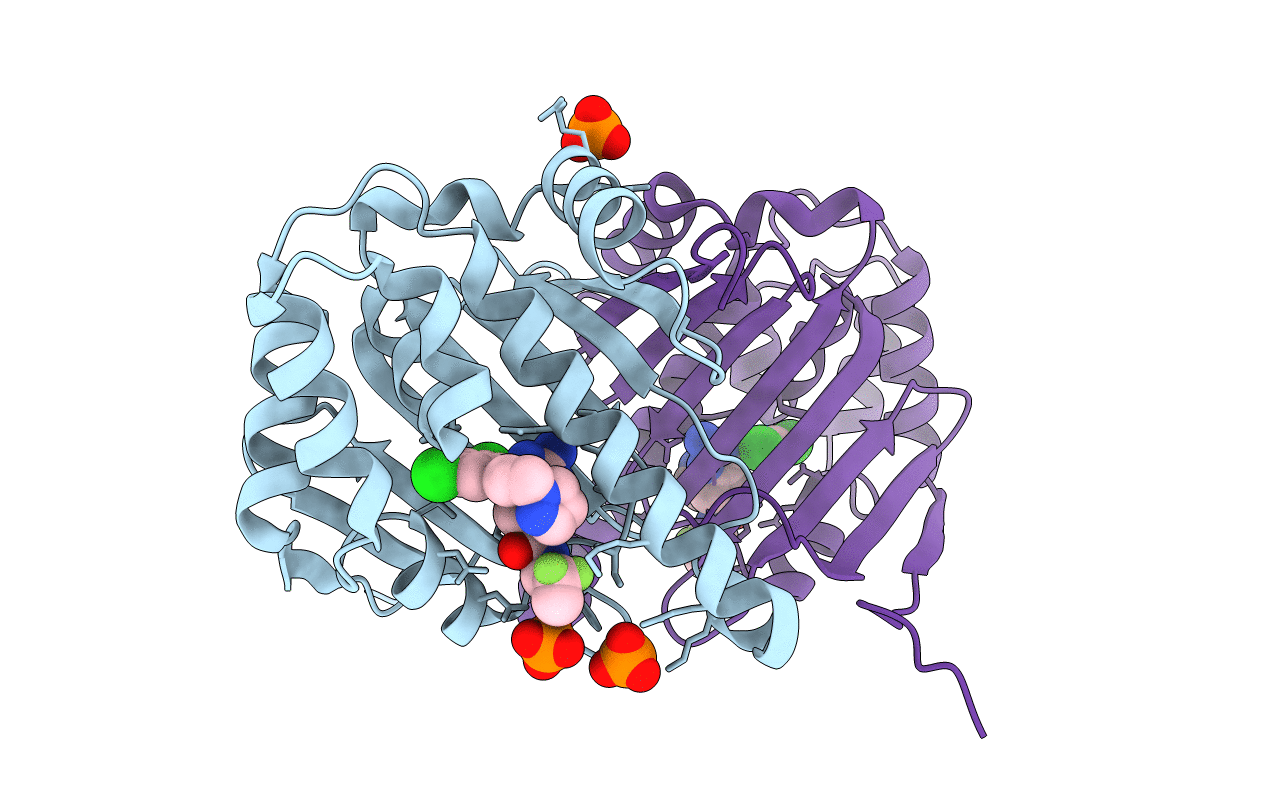3R4P image