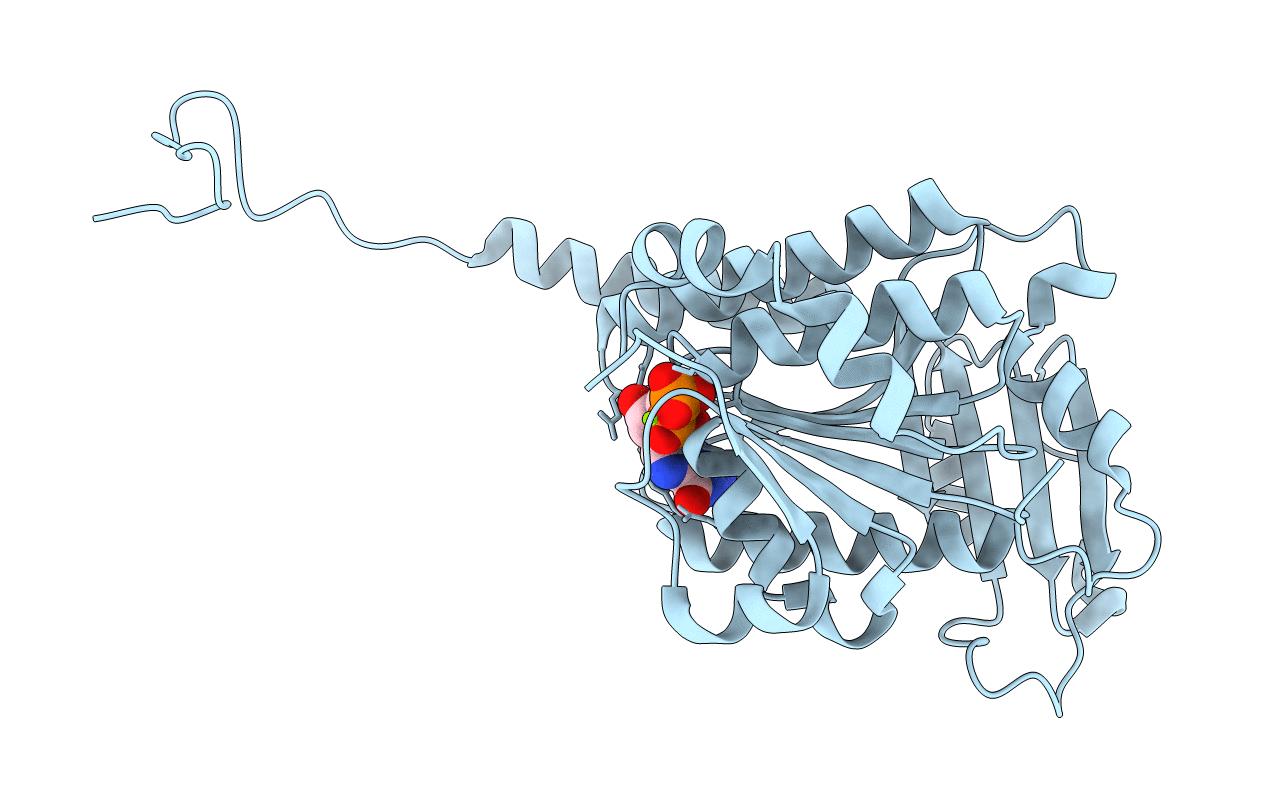3R4V image