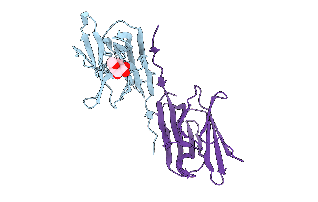 3R51 image