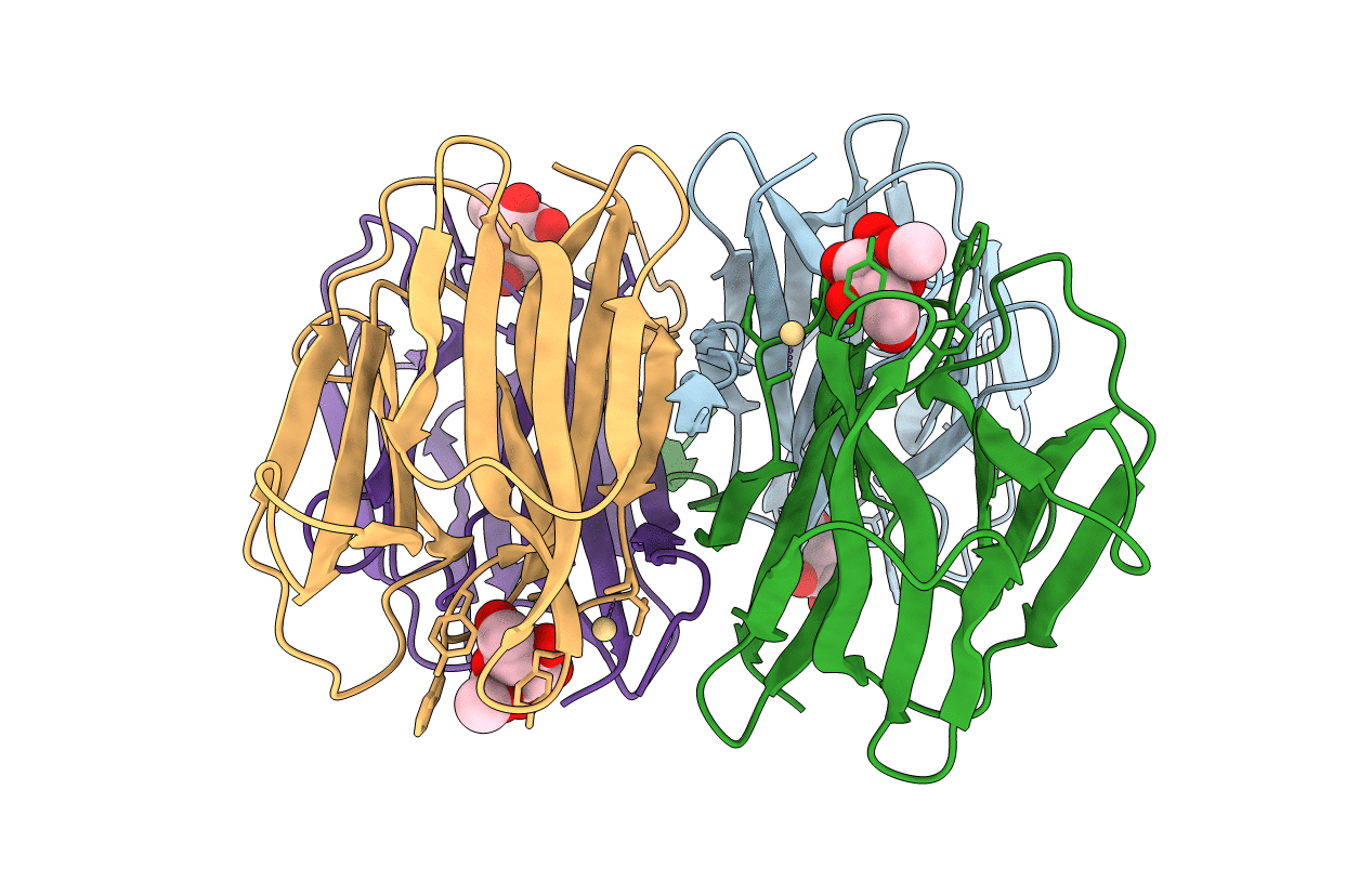 3R52 image