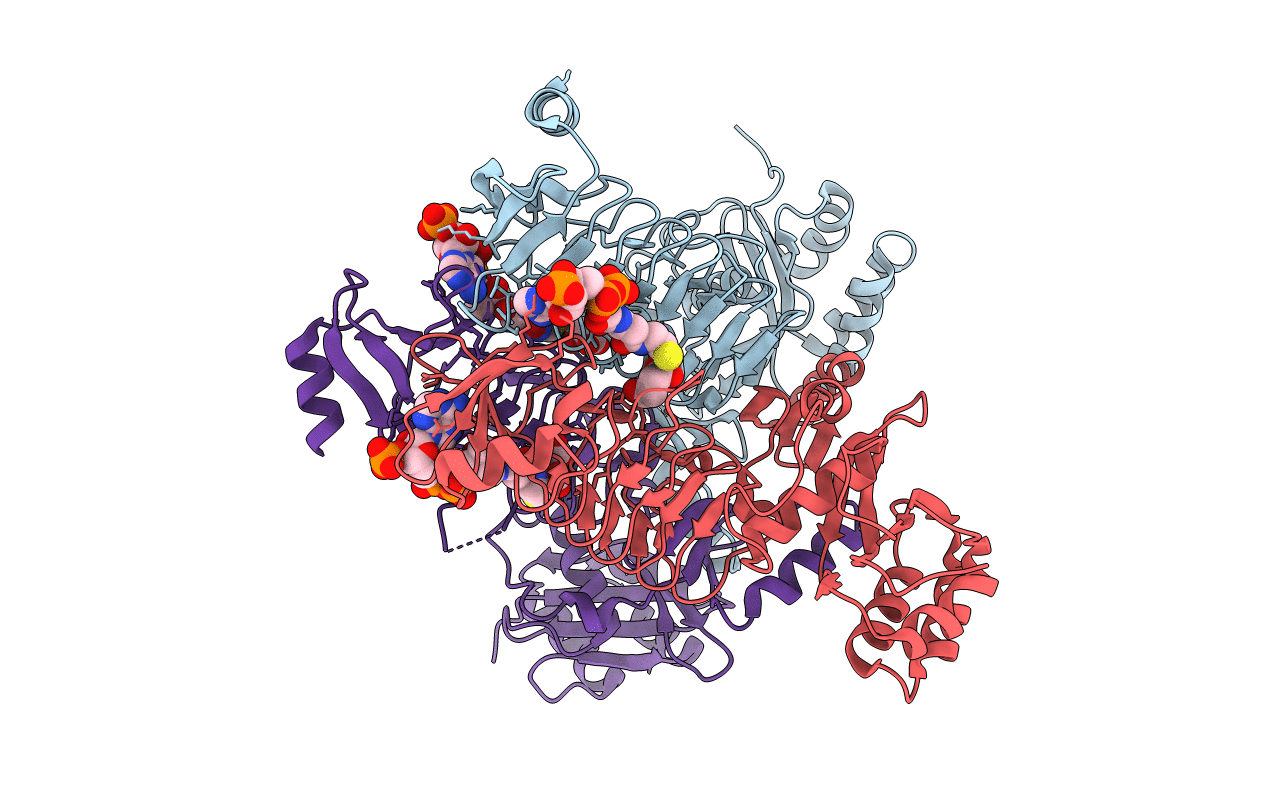 3R5C image