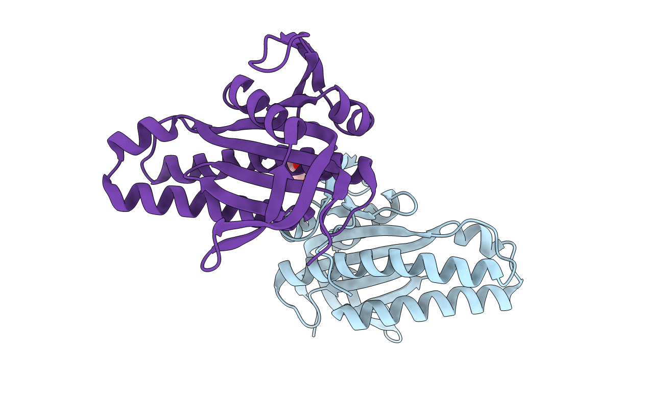 3R5G image