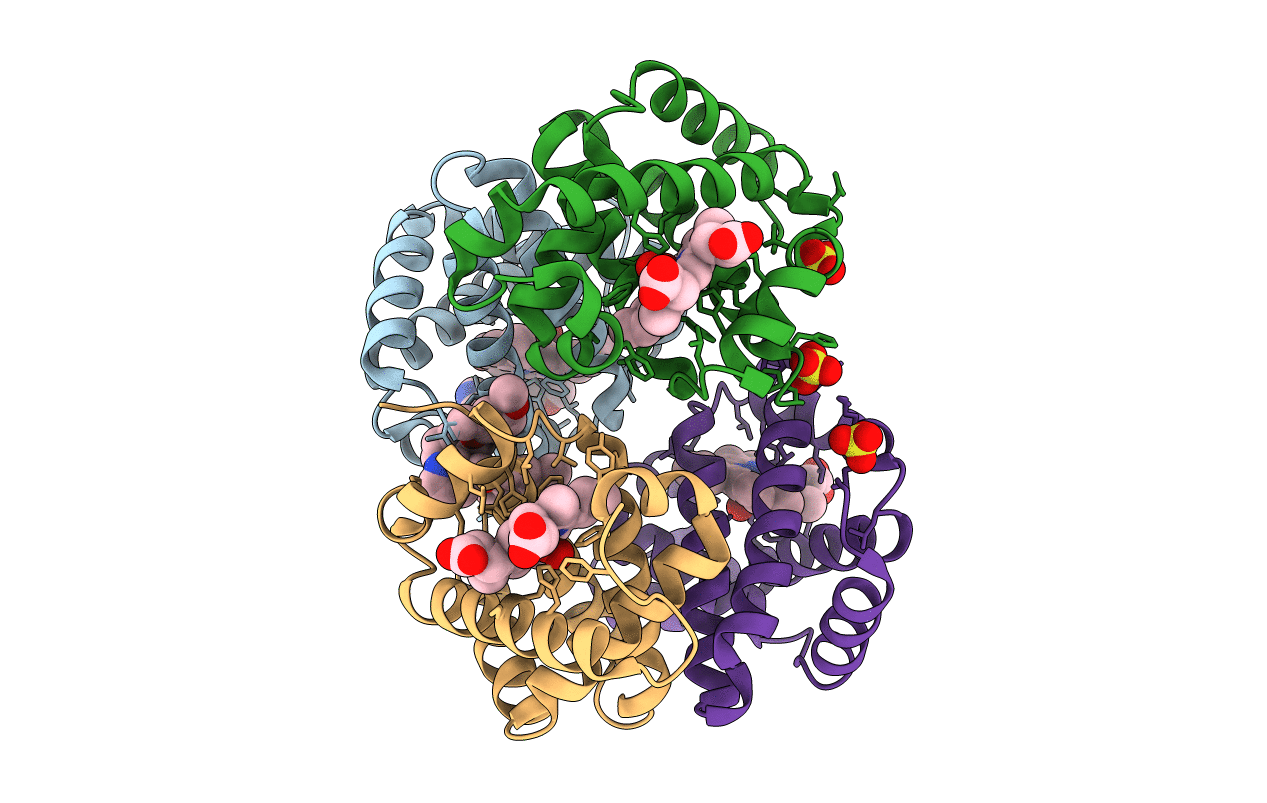 3R5I image