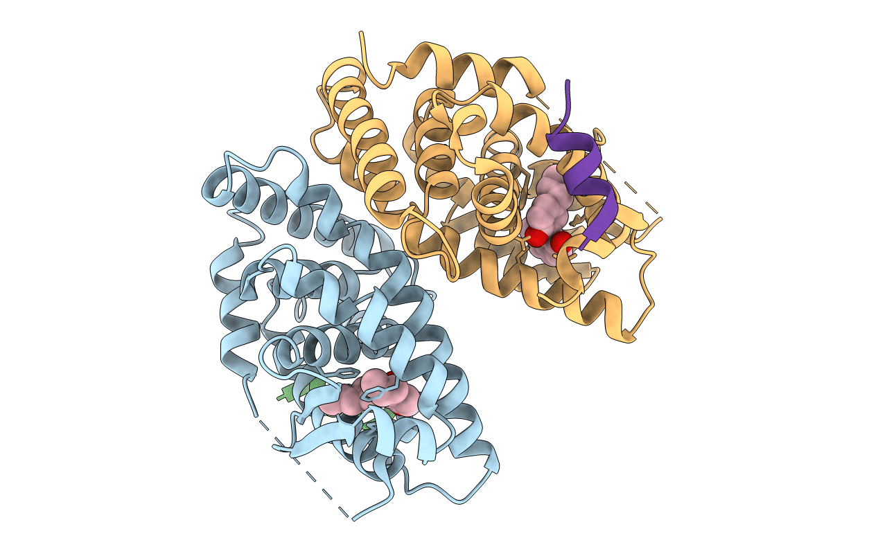 3R5M image