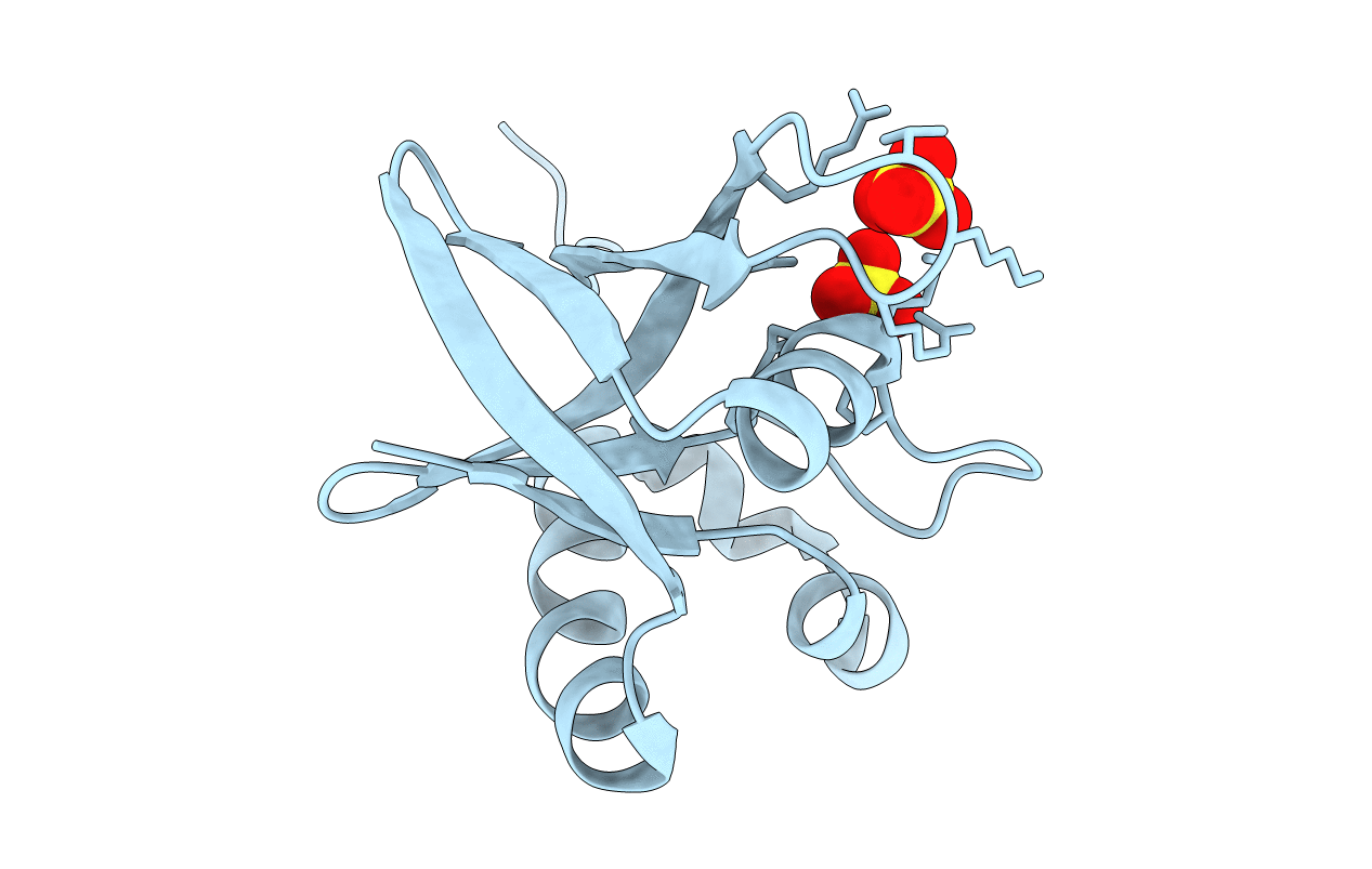 3R5P image