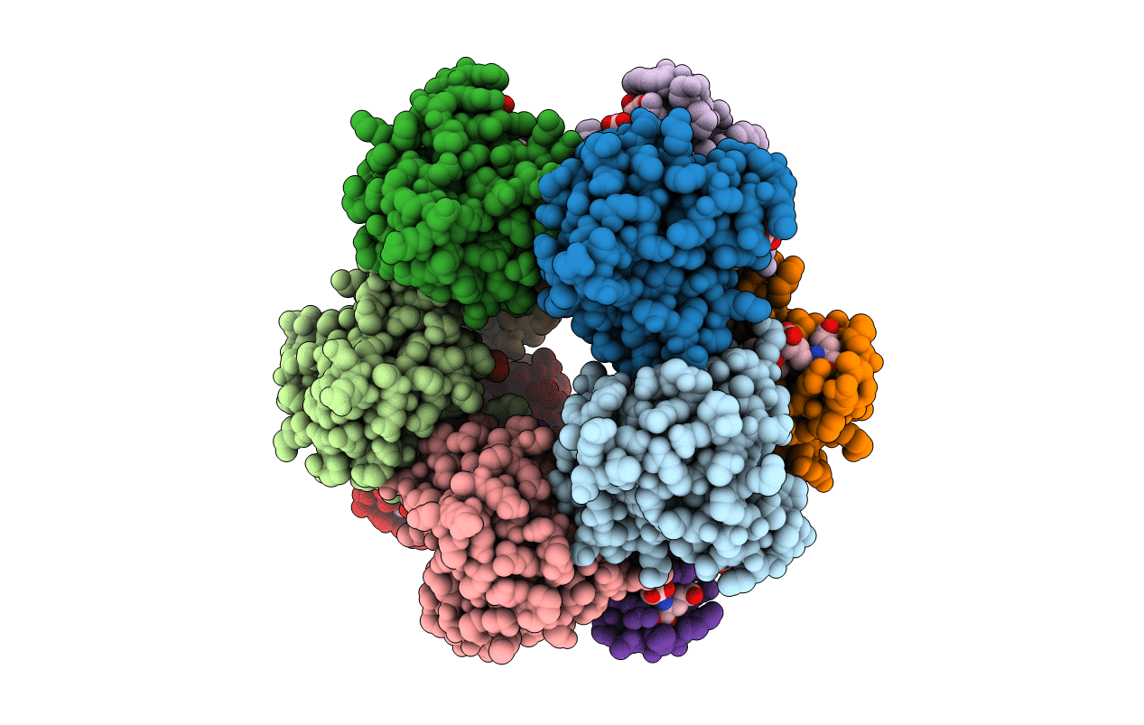 3R5W image