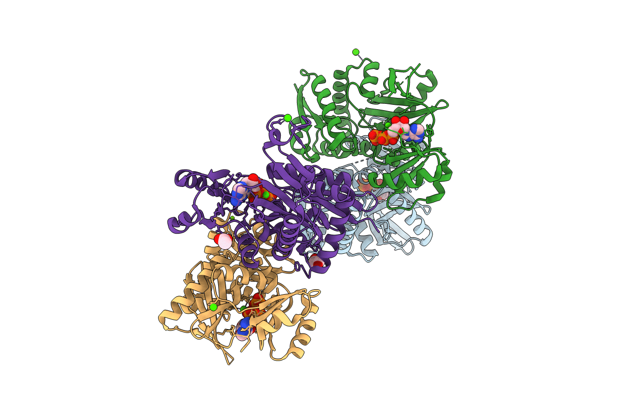 3R5X image