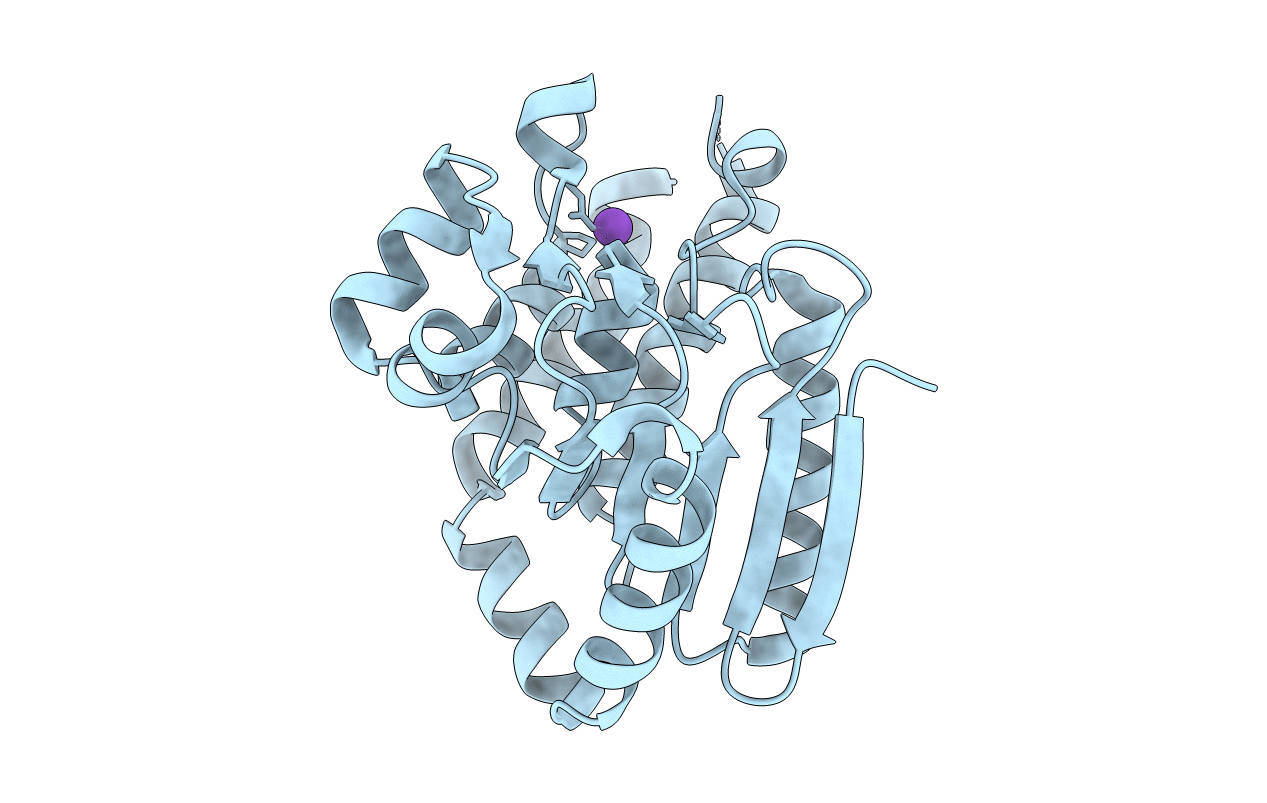 3R6H image
