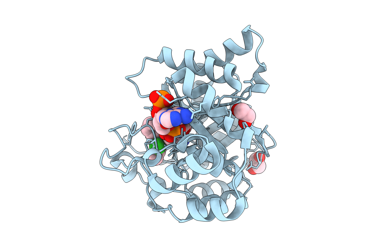 3R6I image