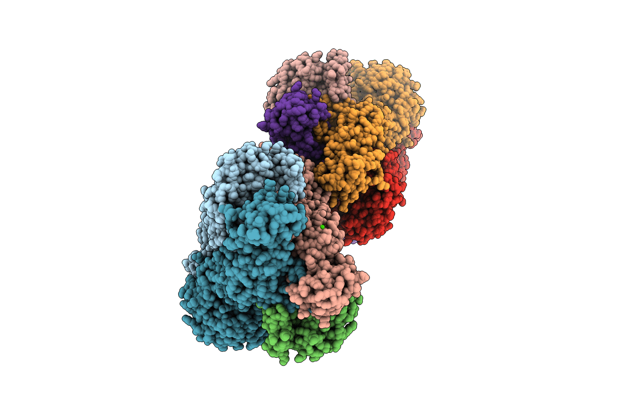 3R6V image
