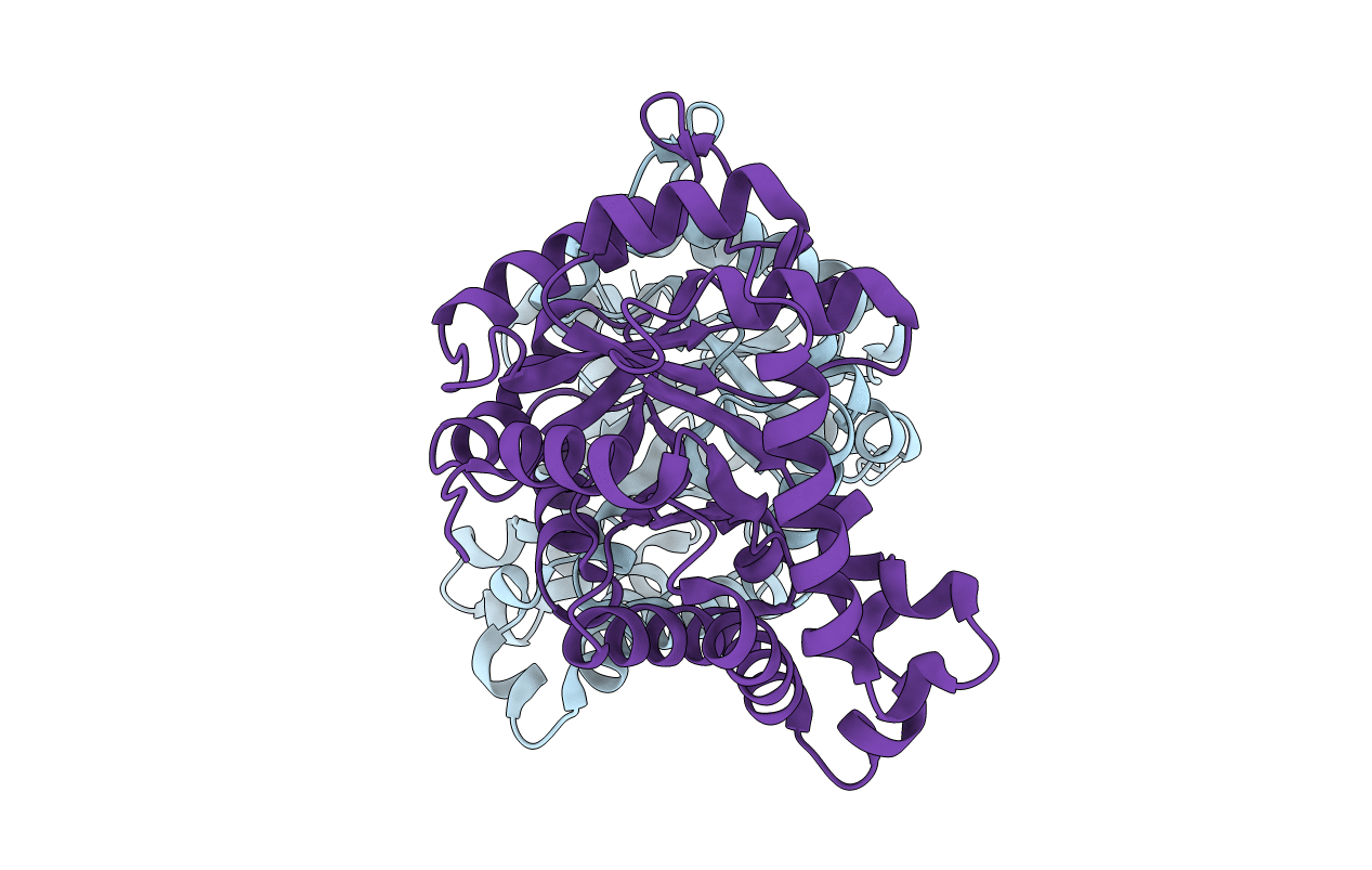 3R89 image
